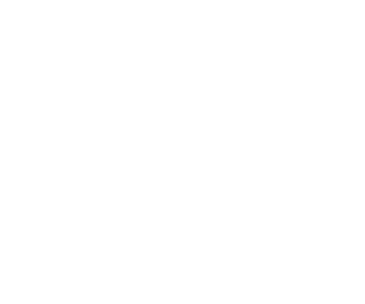 PLATFORM_ - Paid Search and Performance Max